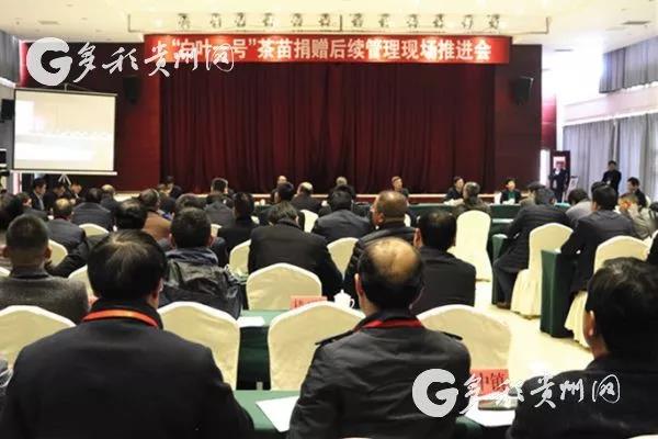 开云中国受邀参加“白叶一号”茶苗捐赠后续管理现场推进会