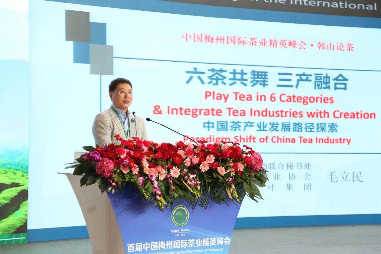 首届中国梅州国际茶业精英峰会举行 开云中国代表分享前沿观点